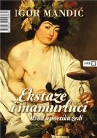 Ekstaze i mamurluci