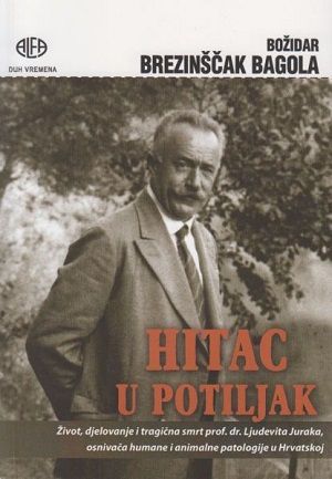 Hitac u potiljak