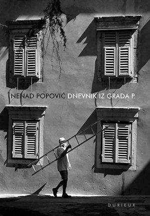 Dnevnik iz grada P.